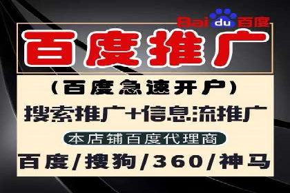 大型企业SEM外包实战案例